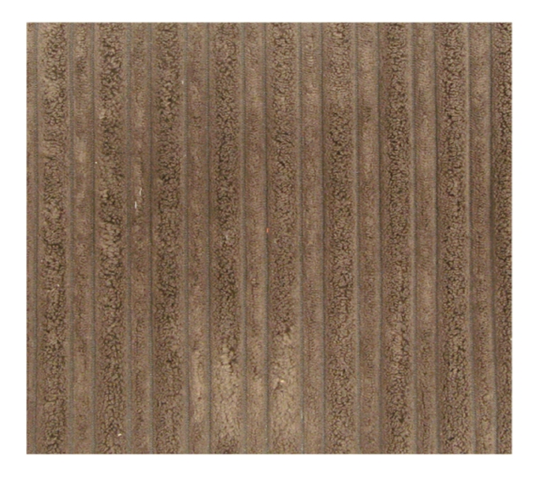 Jumbo Plain Stripe Bark