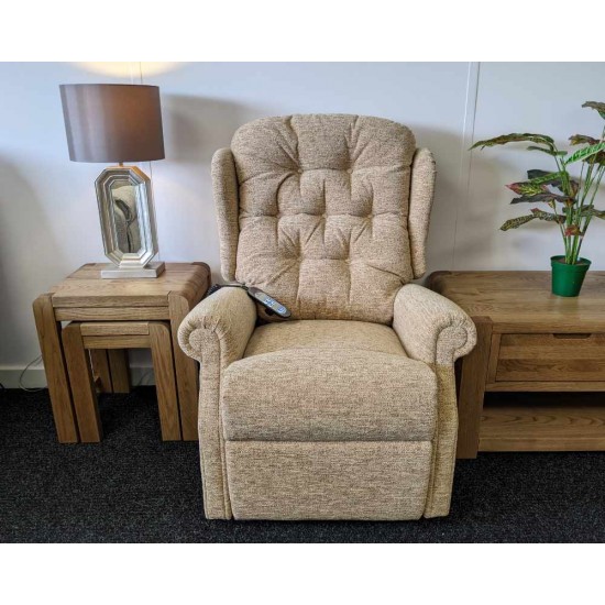  SHOWROOM CLEARANCE ITEM - RISER RECLINER - Celebrity Woburn Standard Dual Motor Lift & Rise Recliner