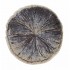 Round Velvet Fringed Machini Khaki Scatter Cushion